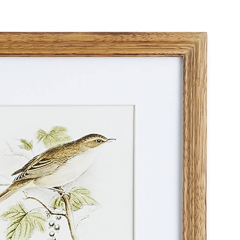 Perching Bird Study Petite