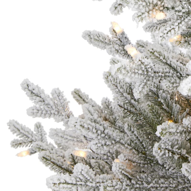 4Ft Fraser Fir Christmas Tree with Warm White Lights - Holiday Decor & Festive Tree - 48