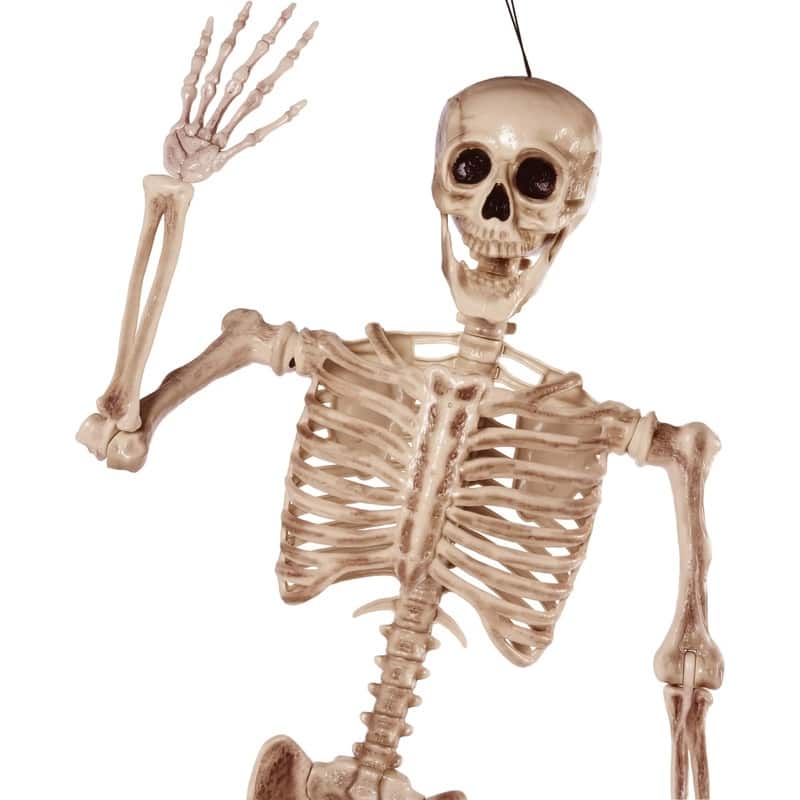 5.6 FT Halloween Posable Body Skeleton