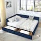 Option Dark Blue - Drawers