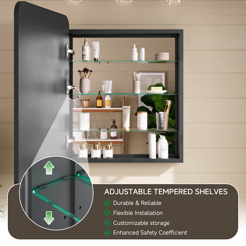 Topcraft Black Wall Mounted Aluminum Framed Medicine Cabinet