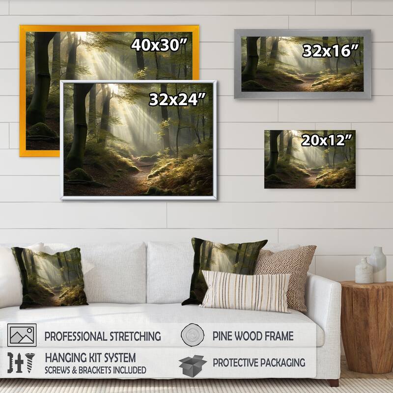 Designart "Light Streams Through Forest Iii" Landscape Forest Framed Canvas Art Print