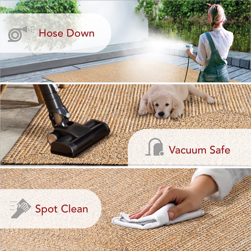 Nuloom Wynn Braided Indoor/Outdoor Area Rug