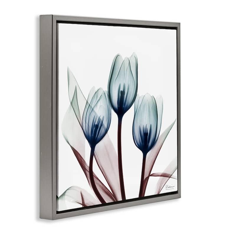 Stupell Chic Blue Translucent Tulips Framed Floater Canvas Wall Art Design By Albert Koetsier