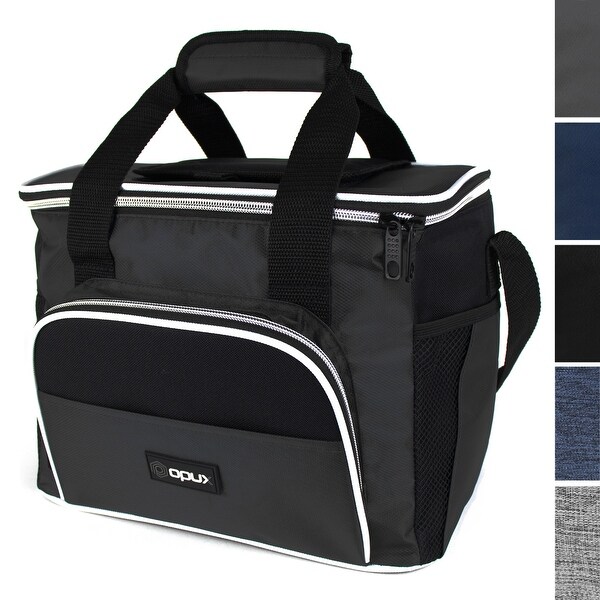big insulated lunch bags