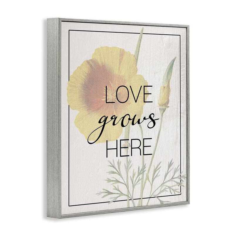 Stupell Vintage Love Grows Here Framed Giclee Art Design By Lil' Rue