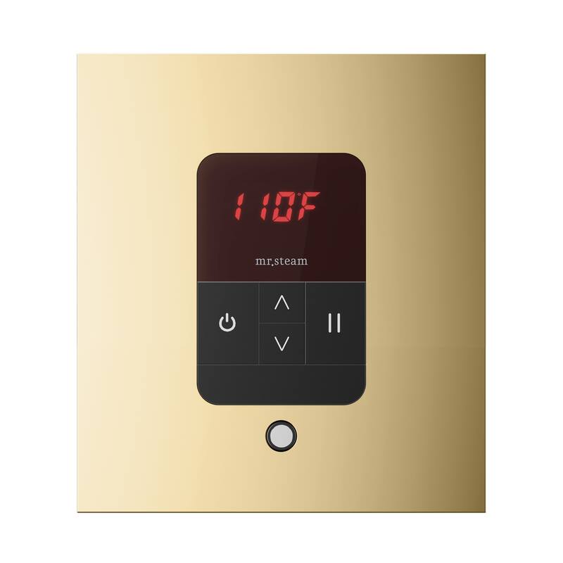 Mr Steam ITSQ Itempo Square Steam Shower Control and Steamhead - Polished Brass