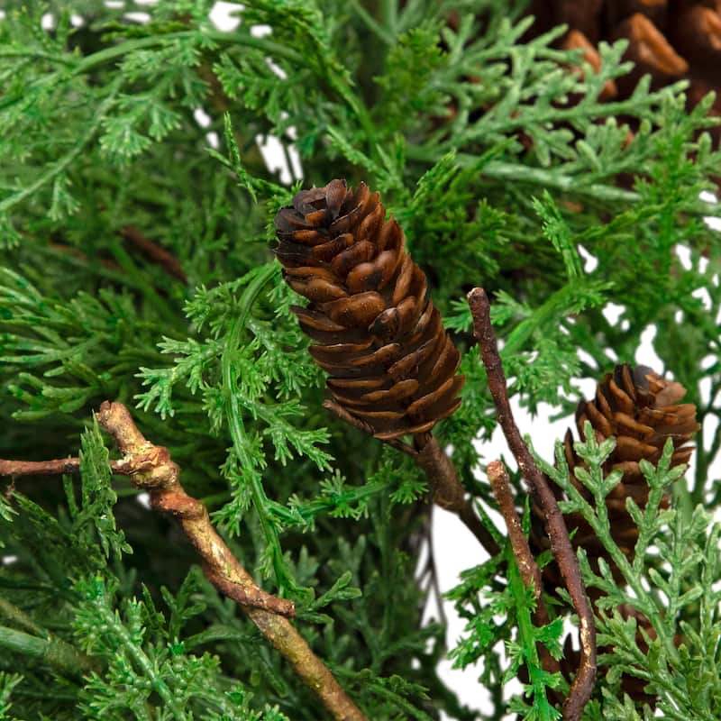 Pine Cones and Cedar Artificial Christmas Wreath - 26" - Unlit