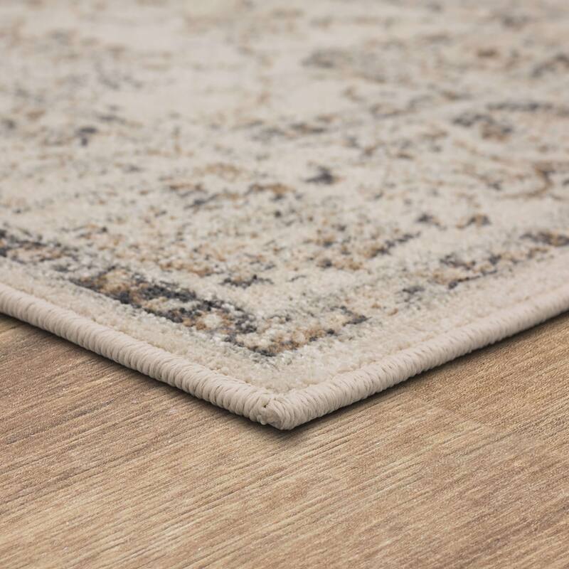 Mohawk Home Viola Distressed Ornamental Medallion Area Rug