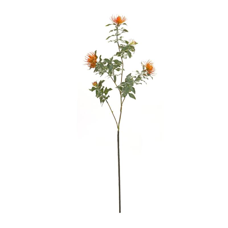 Floral Artificial Protea Stem Spray - 34.25" - Set of 6