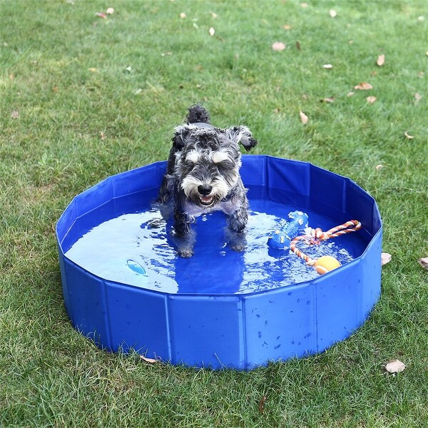 Puppy pool sales with slide