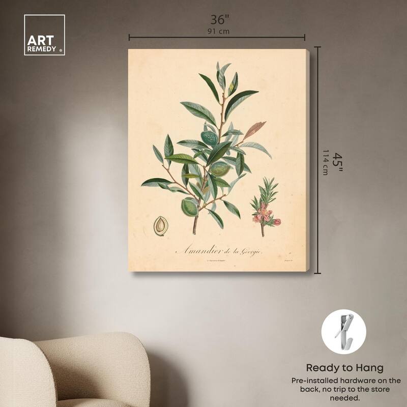 Almond of Georgia I Canvas by Art Remedy, Gallery Wrapped