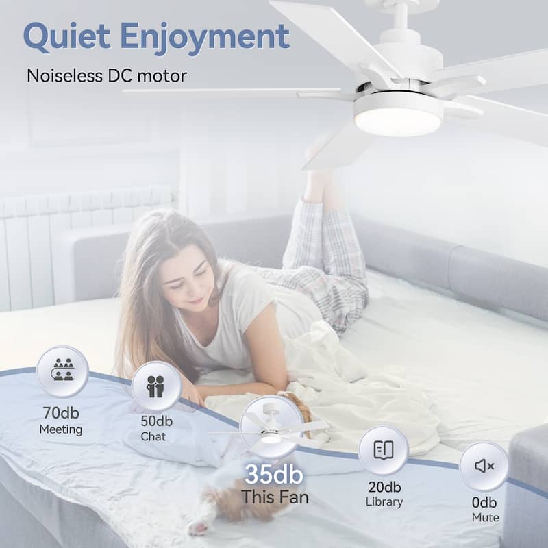 Breezary 52/42-IN LED Ceiling Fan with Light Kit and Remote-5 Blade