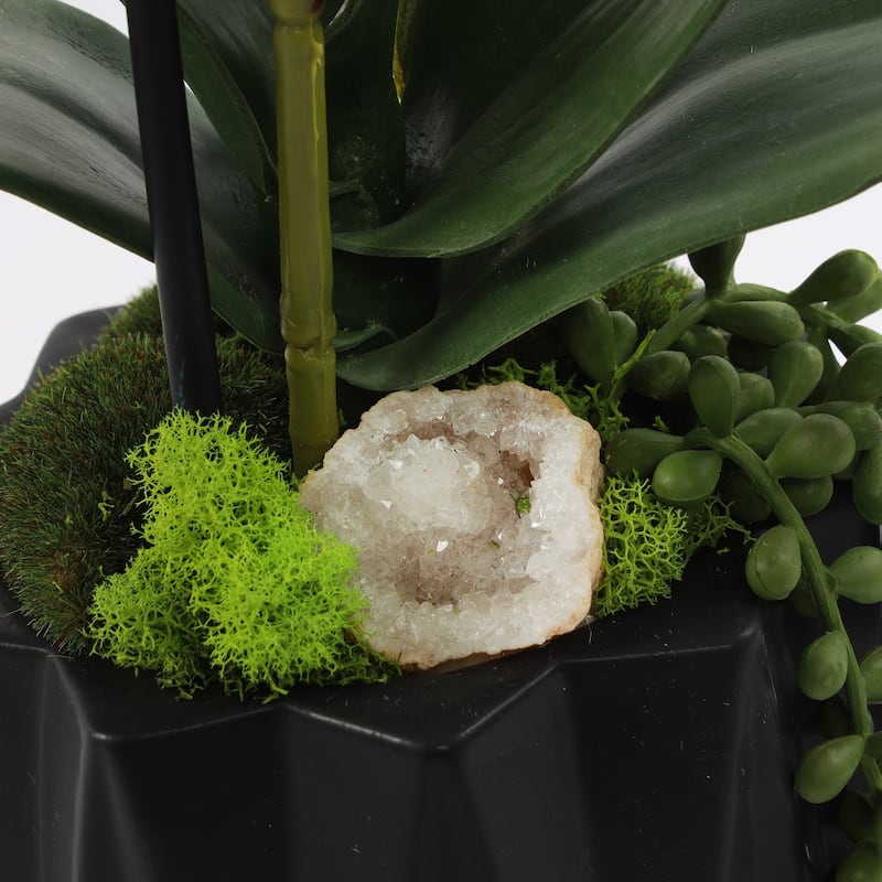 Modern Cream White Faux Orchids Arrangement in Black Matte Ceramic Pot