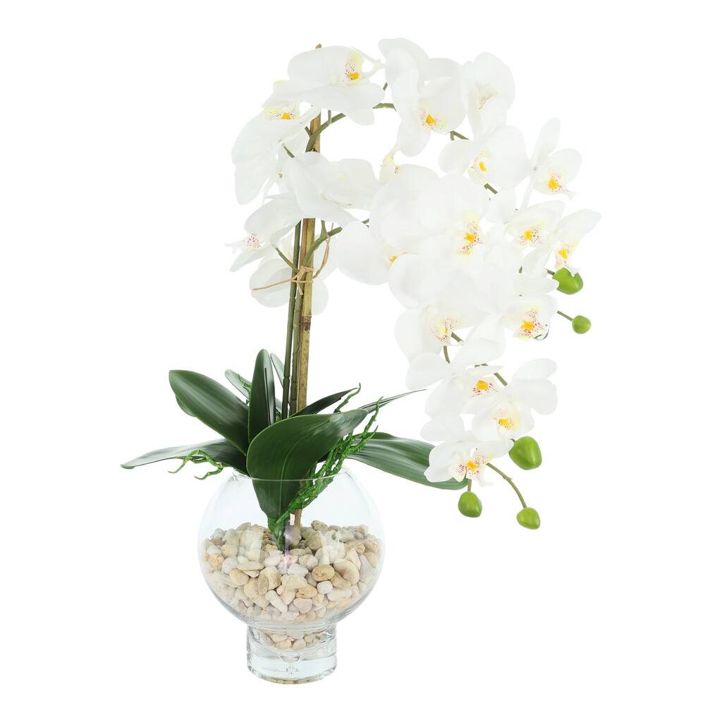 Orchids Arranged in Glass Vase with Rocks - 24