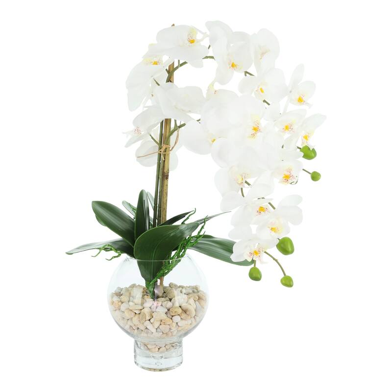 Orchids Arranged in Glass Vase with Rocks - 24