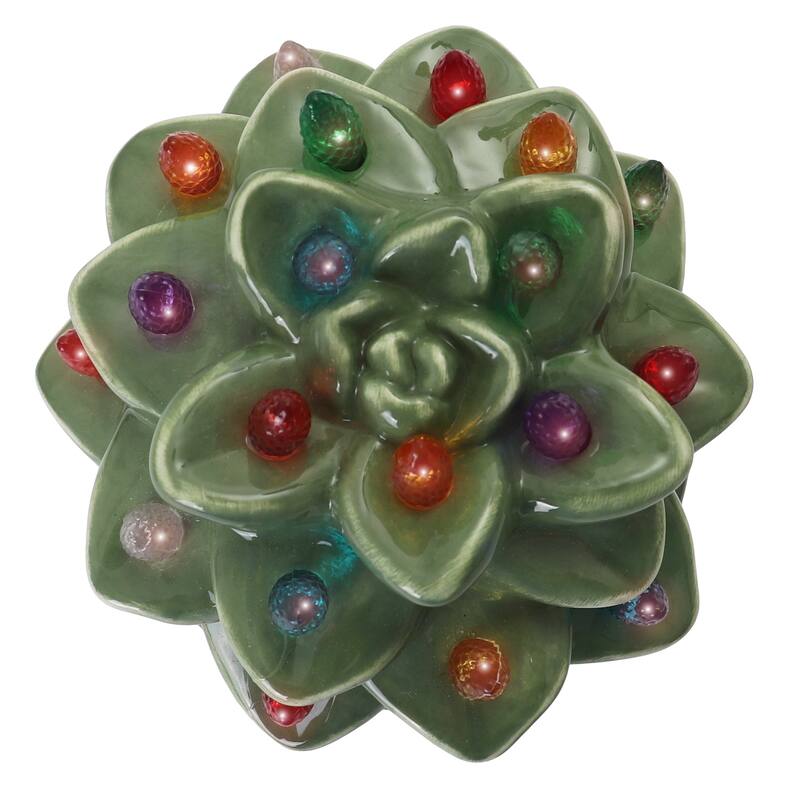Echeveria Succulent with Multicolored Lights