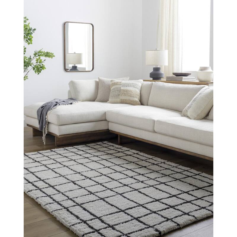 Erik Transitional Plaid Area Rug - White/Black - 2' x 3'