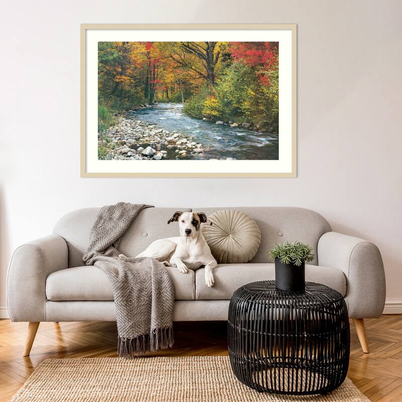 Forest Creek I Framed Art Print