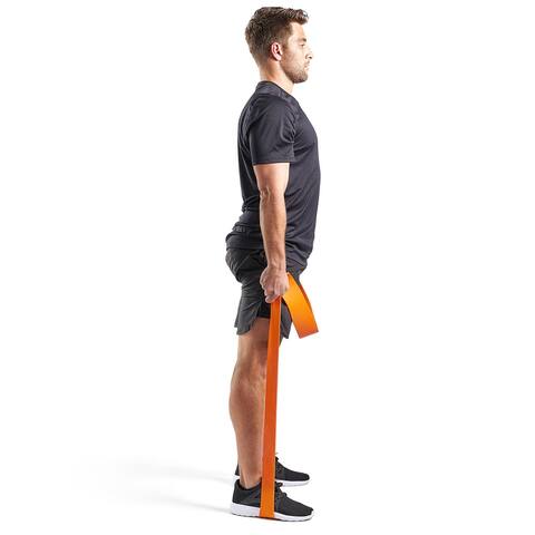 Sunny Health & Fitness Strength Training Band 140 lb - 140 lb