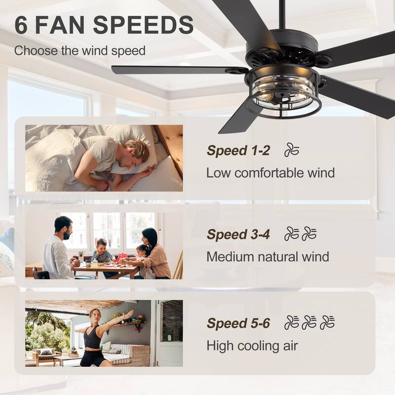 52" Reversible 5-Blade Caged Ceiling Fan with Light and Remote