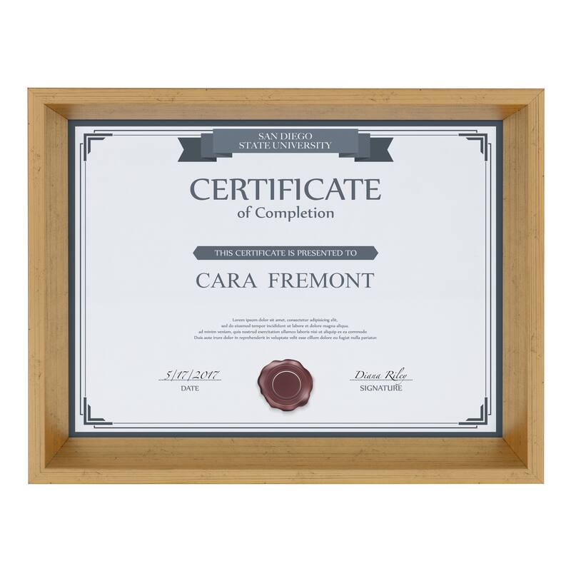 Kate and Laurel Calter Inset Picture Frame Set