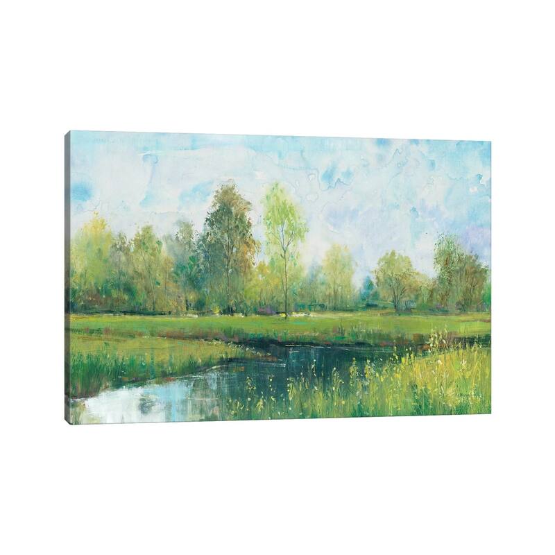 iCanvas "Tranquil Park I" by Tim OToole Canvas Print