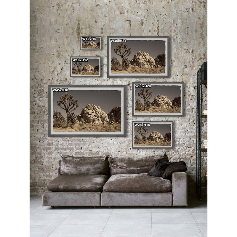 'Cactus and Rocks' Framed Painting Print