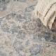 preview thumbnail 13 of 88, Nourison Astra Machine Washable Distressed Area Rug