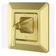 Option Brushed Gold