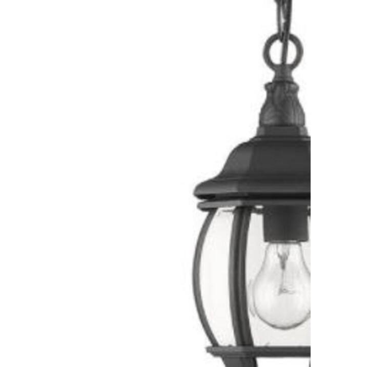 Outdoor Hanging Traditional Porch Pendant in Black with Clear Glass