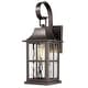 preview thumbnail 16 of 15, Classic Outdoor Wall Lantern with Water Rippled Glass Medium/1-Pack - Oil Brushed Bronze