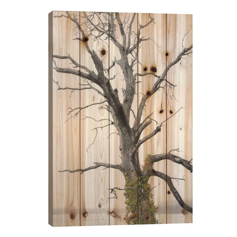 Color Splash Ivy Print On Wood by Louis Ruth - Multi-Color - 26x18x1.5