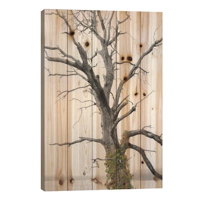 Color Splash Ivy Print On Wood by Louis Ruth - Multi-Color