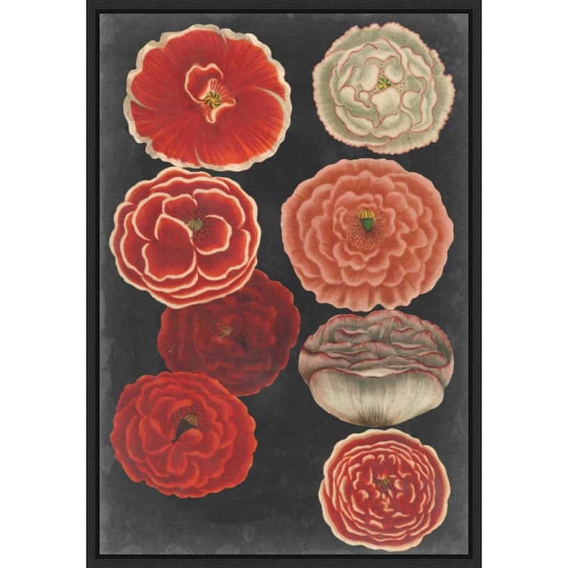 Midnight Poppies by Vision Studio (23 x 33 in.), Framed Canvas Wall Art Print