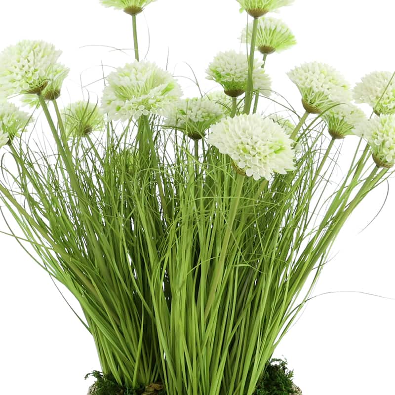 Dahlias and Grass in Pot - 29