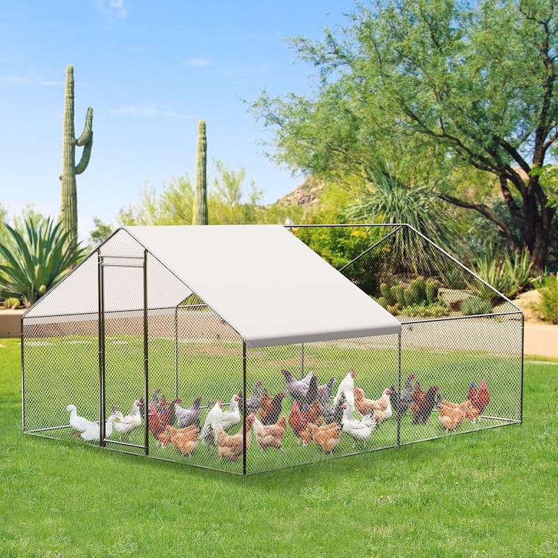 Large Metal Chicken CoopWalk-in Poultry Cage