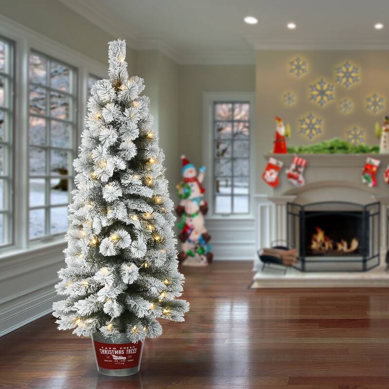 National Tree Company 5 ft. Snowy Pogue Pine Entrance Tree with LED Lights - 5 Foot