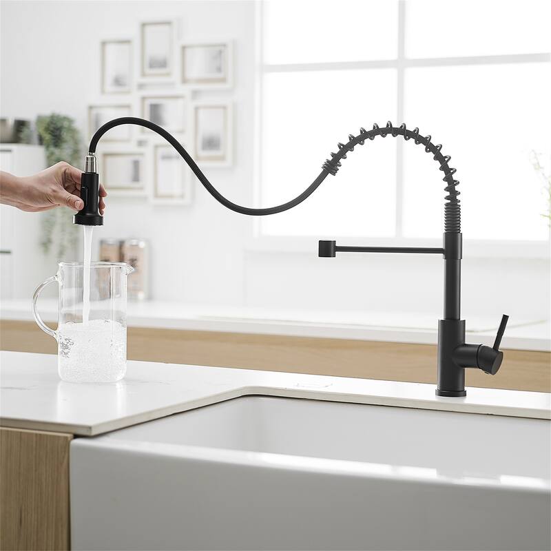 Stainless Steel Kitchen Faucet with Pull-Down Sprayer, Single Handle