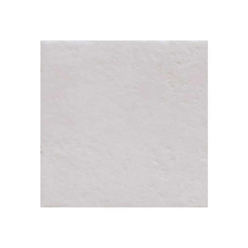 Verity Seas 8x8 Matte Porcelain Encaustic Tile - Floor, Wall, Backsplash