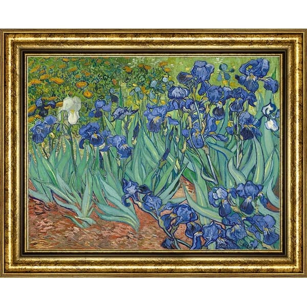 Irises by Vincent Van Gogh Oil Painting Print on Museum Quality canvas ...
