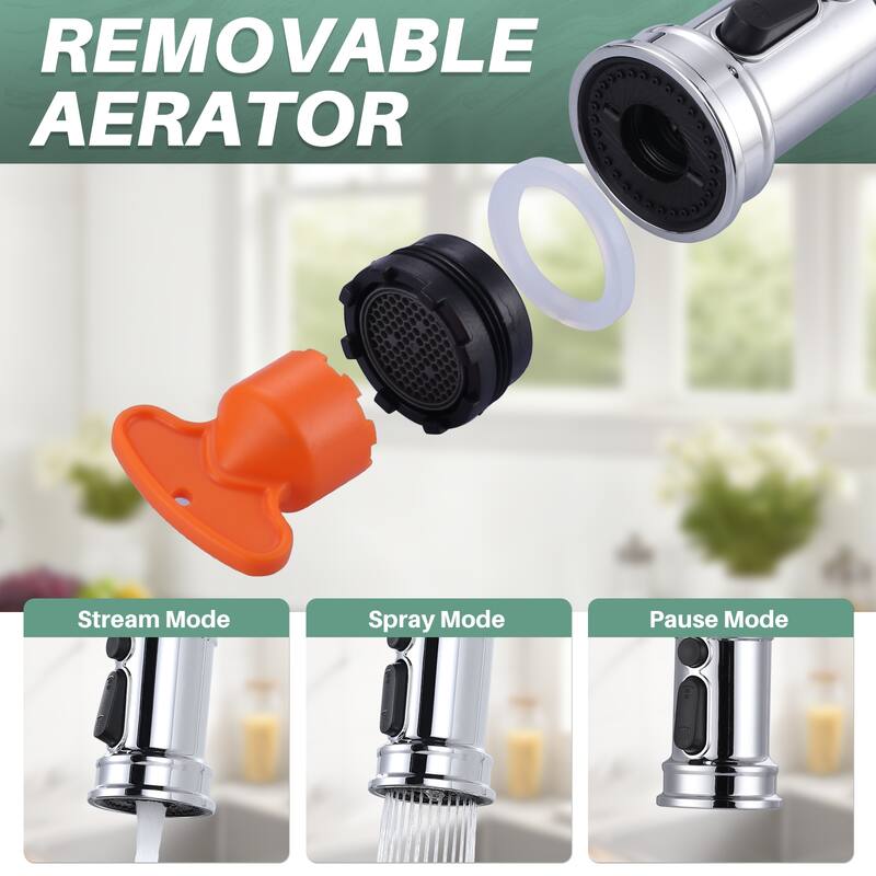 WOWOW Double Handle Bridge Kitchen Faucet with Advanced Spray