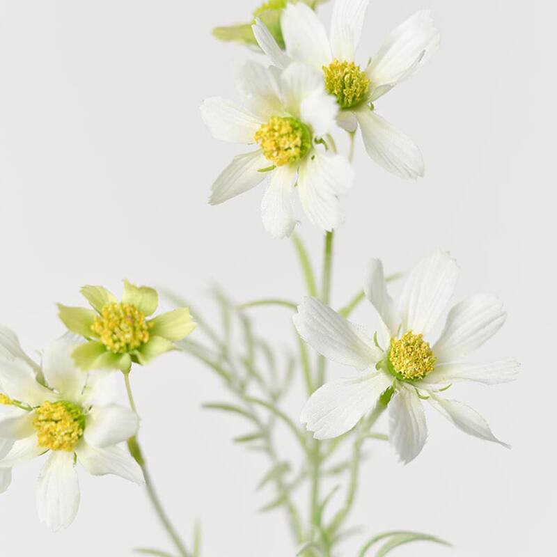 Silk Decorative Artificial Starry Sky Cosmos(Pack of 1 Branch)