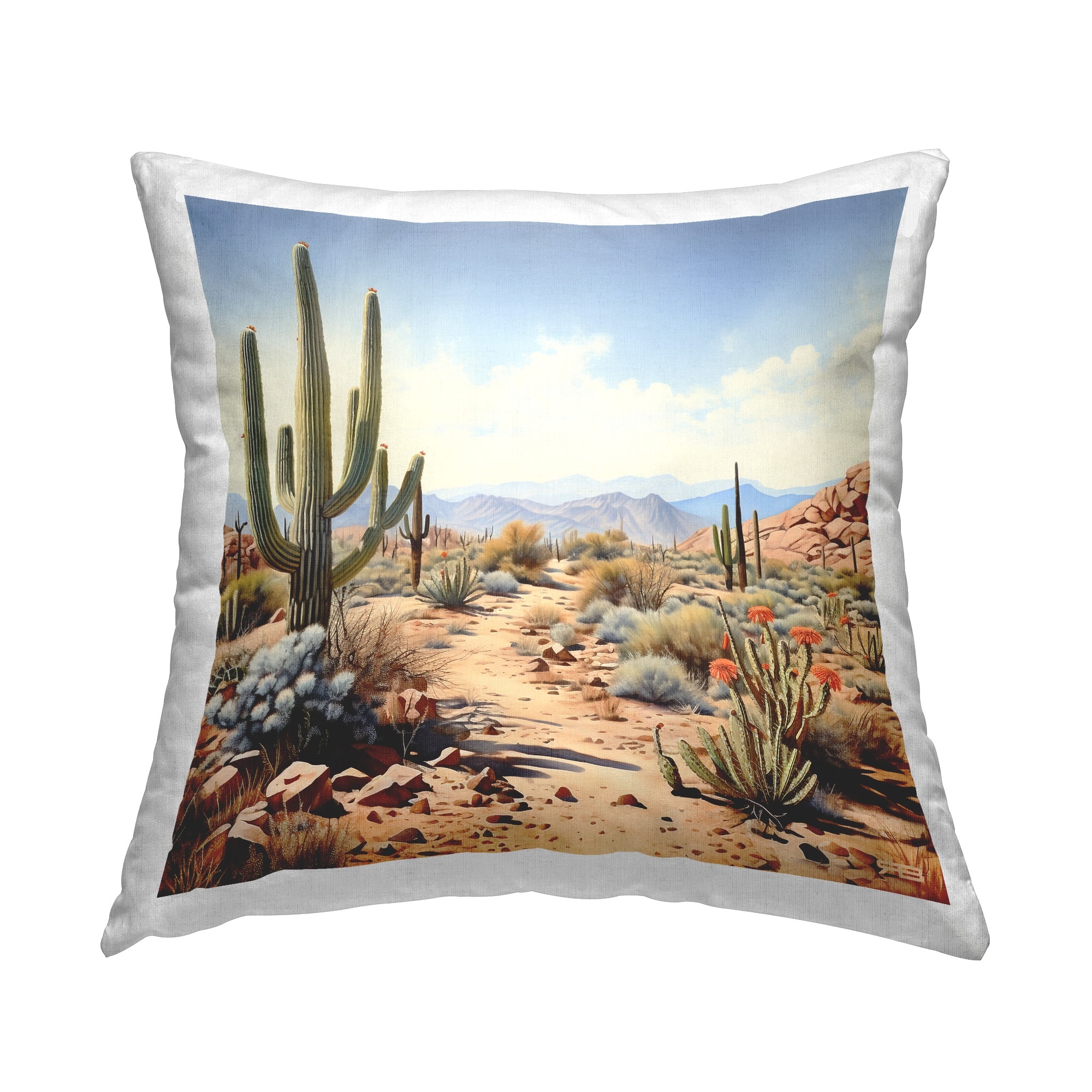Stupell Desert Mesa Path Decorative Printed Throw Pillow Design by RB