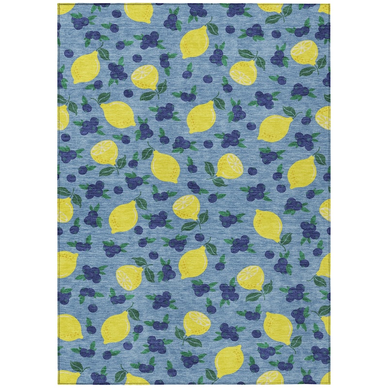 Machine Washable Indoor/ Outdoor Citrus Berry Chantille Rug