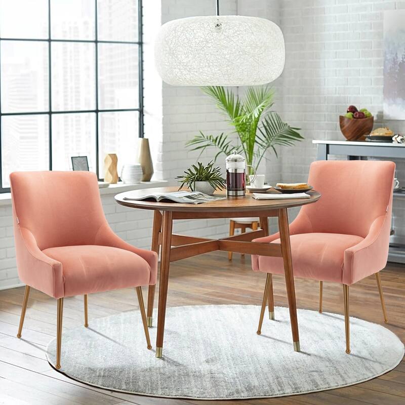 GZMR Upholstered Accent Dining Chairs Side Chairs (Set of 2)