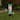 Gemmy Airblown Inflatable St. Patrick's Day Minnie Mouse, 3.5 ft Tall, green - 42.13x17.72x28.35