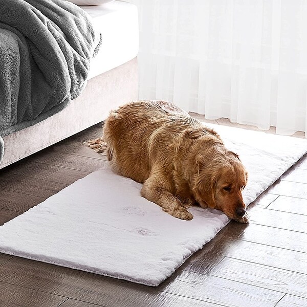 Rug dog bed sales