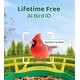preview thumbnail 4 of 5, Smart Bird Feeder with Camera 2K HD Live