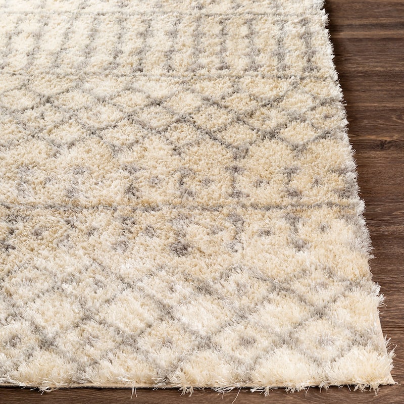 Artistic Weavers Magistrar Global Shag Handmade Area Rug